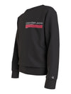 Hero mini logo crewneck sweatshirt kids