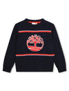 Timberland blue kids sweater