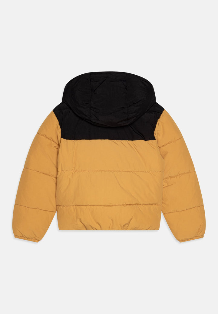 Piumino TIMBERLAND da BAMBINO - Giallo