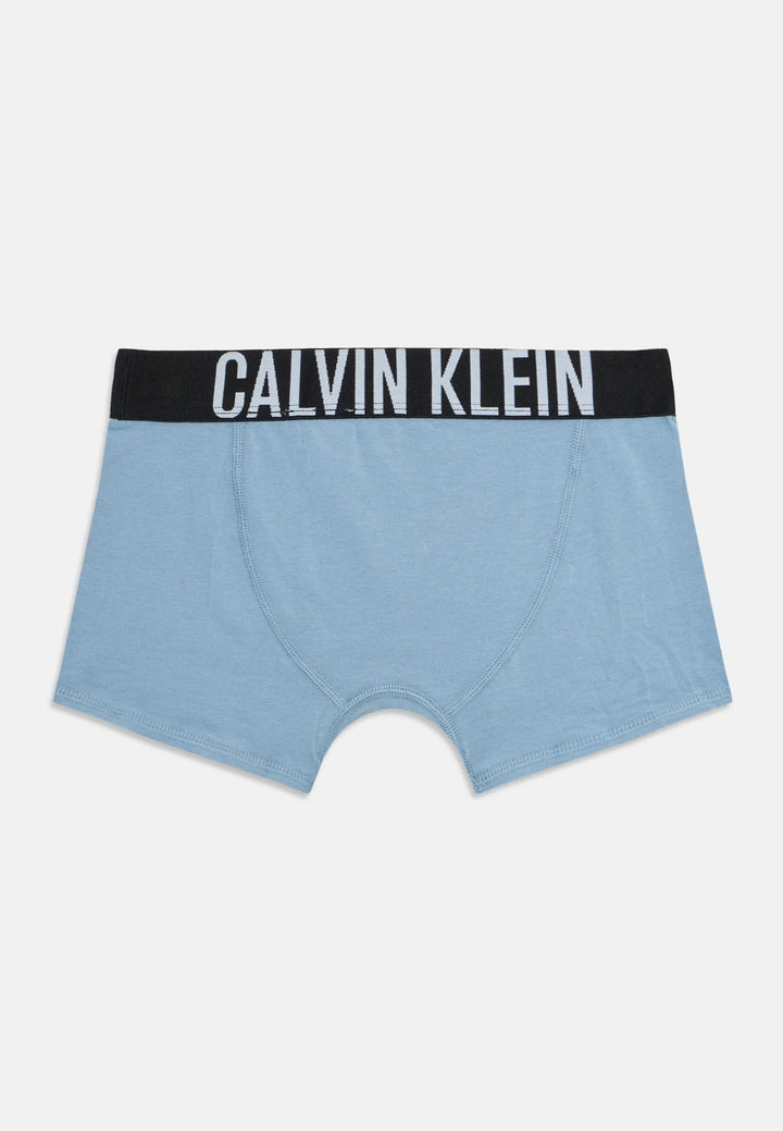 CALVIN KLEIN JEANS Intimo CALVIN KLEIN JEANS da BAMBINO - Fadeddenim/Boldblue/Pvhblack