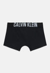 CALVIN KLEIN JEANS Intimo CALVIN KLEIN JEANS da BAMBINO - Fadeddenim/Boldblue/Pvhblack