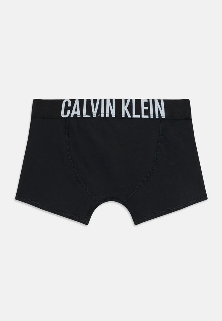 CALVIN KLEIN JEANS Intimo CALVIN KLEIN JEANS da BAMBINO - Fadeddenim/Boldblue/Pvhblack
