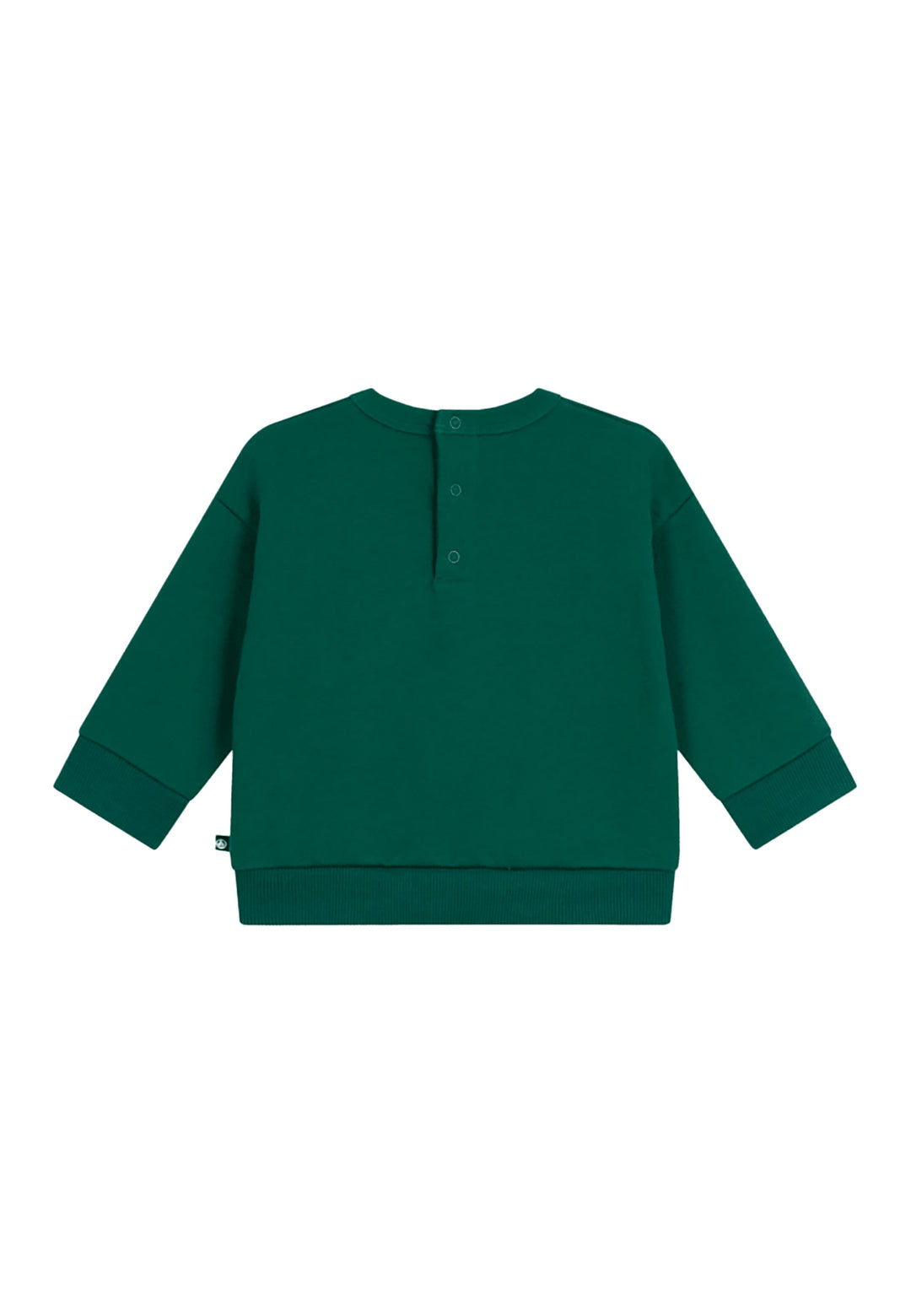 PETIT BATEAU Felpa PETIT BATEAU da BAMBINO - Evergreen