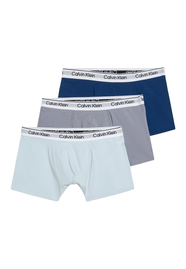 Boxer Estateblue/Quicksilver/Pleinai