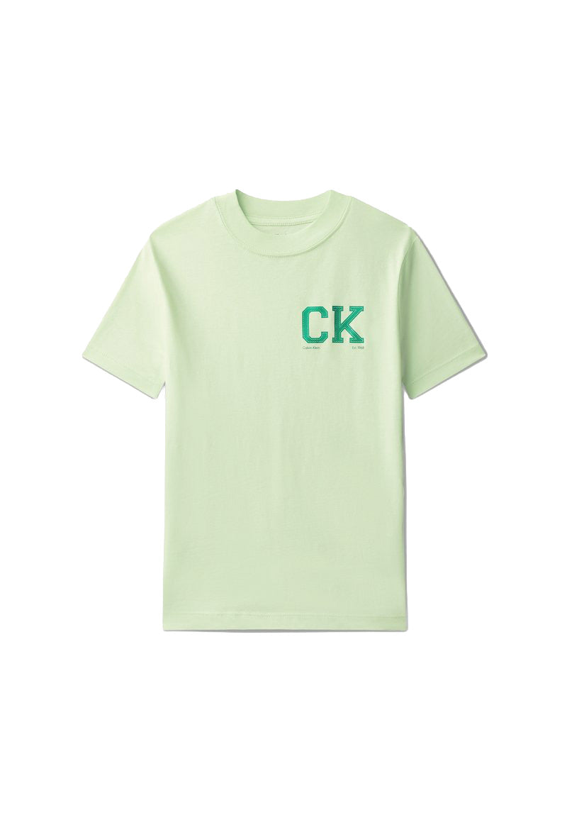 CALVIN KLEIN JEANS T-shirt CALVIN KLEIN JEANS da BAMBINO - Patina Green