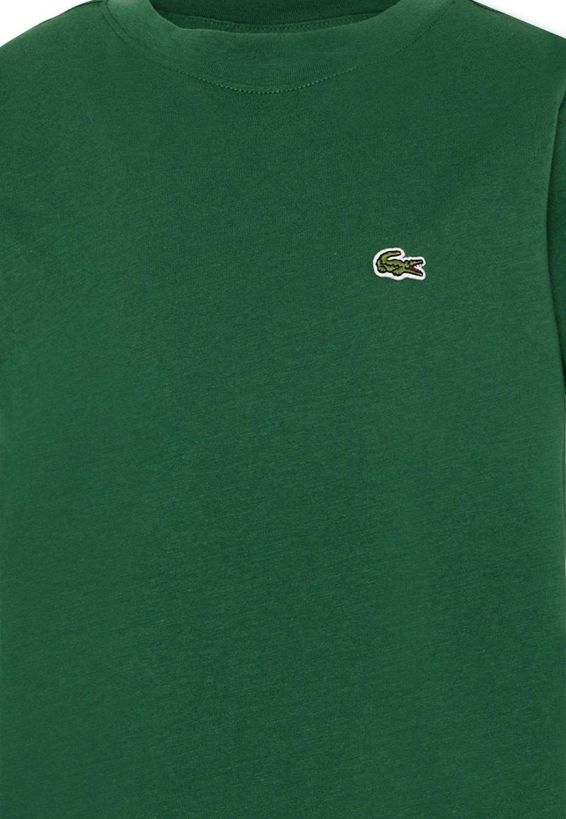 LACOSTE T-shirt LACOSTE da BAMBINO - Green